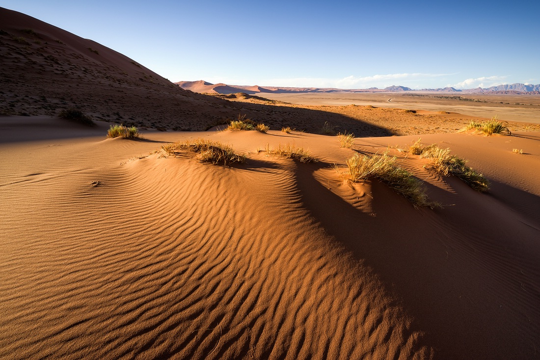Rossiyada jinsiy aloqada bo‘lgan ota-onalar kameraga tushdi